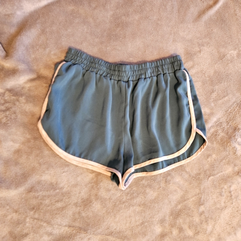 Teal Dolphin Hem Shorts